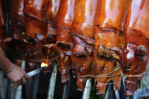 Stock photo of lechon on poles. STORY: COA flags ‘lechon’ orders worth P1.3 million