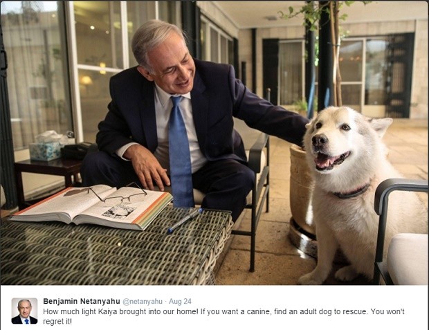 Netanyahu Dog