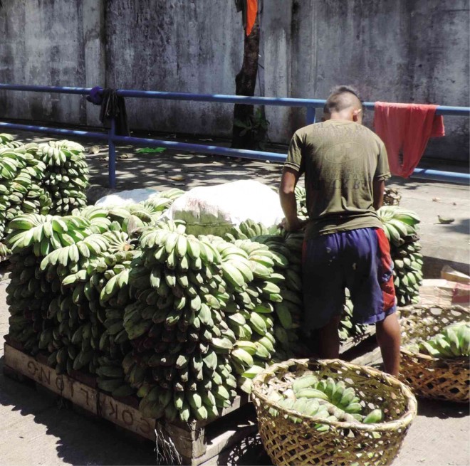 BANANAS are stocked and packed by workers at the Nasipit port. In North Cotabato, bananas are rotting in ports because of the lack of ships to transport the produce to ports in Cebu and Manila.  INQUIRER PHOTO