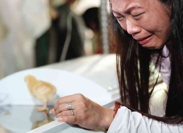 MOM IN ANGUISH Mary Anne Magday weeps over the coffin of her son Mark Angelo, one of the two fatalities in the Jan. 1 shooting in Taguig City. RAFFY LERMA