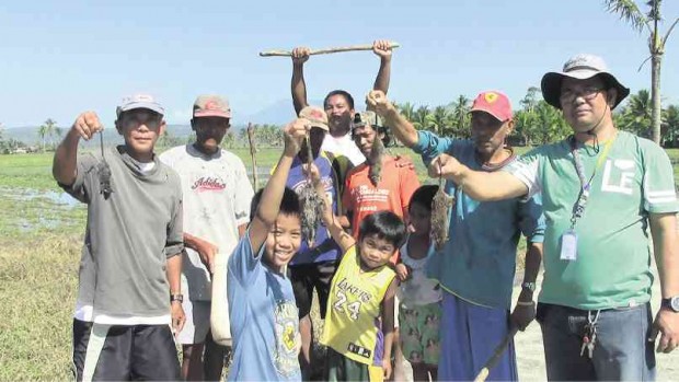 GETTING EVEN Rice farmers and several children show off the dead rats that attacked their fields in Barangay Centro Occidental in Polangui, Albay province. MICHAEL B. JAUCIAN/INQUIRER SOUTHERN LUZON