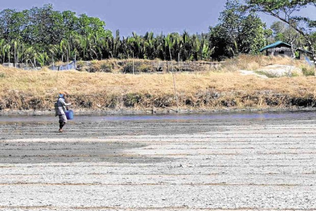 A FISHPOND worker surveys a pond that has been drying up due to the intense heat in Barangay Dulig in Labrador town in Pangasinan province. WILLIE LOMIBAO / Inquirer Northern Luzon