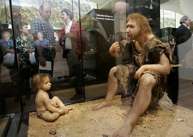 TO GO WITH AFP STORY by RICHARD HEISTER - FILES - A picture taken 19 July 2004 shows visitors of the Museum for Prehistory in Eyzies-de-Tayac looking at a Neanderthal man ancestor's reconstruction. Remainings of the so-called Homo neanderthalensis were found 150 years ago in the Neandertal valley near Mettmann, western Germany. AFP PHOTO PATRICK BERNARD