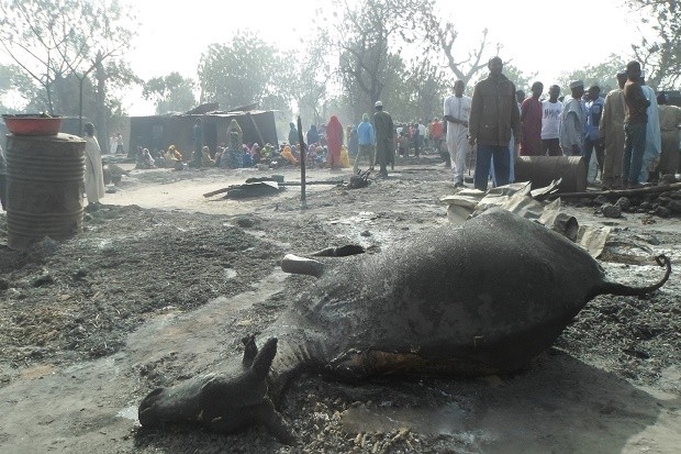 People gather around a dead animal and burnt out houses following an attack by Boko Haram in Dalori village 5 kilometers (3 miles) from Maiduguri, Nigeria , Sunday Jan. 31, 2016. A survivor hidden in a tree says he watched Boko Haram extremists firebomb huts and listened to the screams of children among people burned to death in the latest attack by Nigeria’s homegrown Islamic extremists. (AP Photo/Jossy Ola)