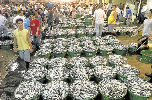 TUBS of “galunggong” (round scad), the so-called poor man’s fish, are unloaded at the Navotas fish port, ready for distribution to major markets in Luzon.      JOAN BONDOC