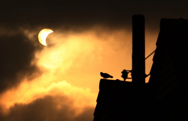 A partial solar eclipse is pictured in Bangkok’s Lat Krabang district yesterday, when the phenomenon could be viewed in all regions of Thailand. A total solar eclipse was visible in Indonesia and witnessed by tens of thousands of sky gazers Wednesday. Pakdee Sukpurm/The Nation/ANN