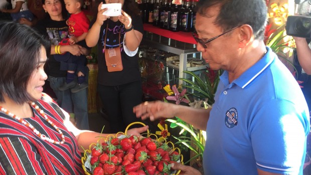 Jejomar Binay receives a basket of strawberries from a trade fair after his campaign rally at the public market in La Trinidad, Benguet. MARC JAYSON CAYABYAB/INQUIRER.net