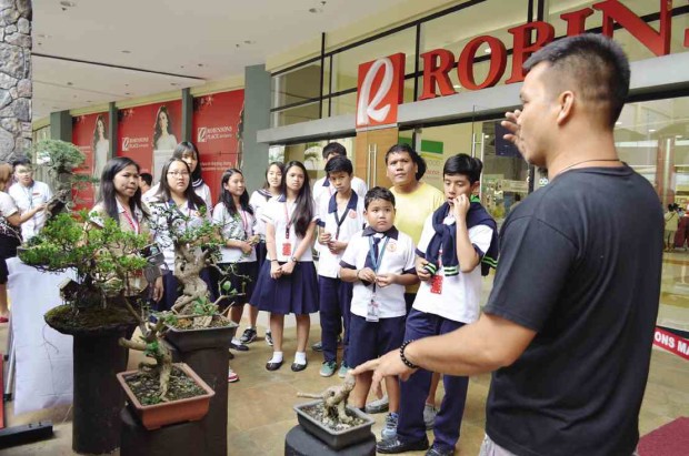 DECADES-OLD bonsai (left) was best in show; (above) Cantaco gives students the basics of bonsai propagation.