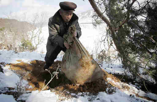In this Thursday, Dec. 3, 2015, photo, village elder Kim Ri Jun digs up a burlap sack which he claims contains the remains belonging to a soldier who fought in the Korean War from a burial site on Ryongyon-ri hill in Kujang county, North Korea. "Until They Are Home" is one of the most sacred vows of the U.S. military, yet there are 5,300 American GIs missing in North Korea from the Korean War whose remains are potentially recoverable. It has been more than a decade since any U.S. search teams have tried, and with construction projects across the country moving forward, many could already be lost forever. (AP Photo/Wong Maye-E)