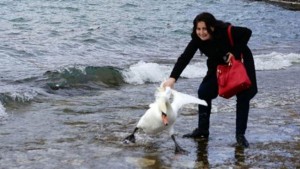The unidentified woman drags the swan from its wing to take a photo with it.