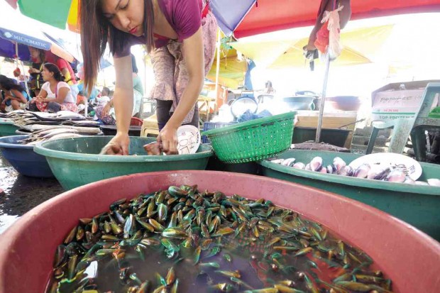 MUSSELS sell quickly at Dagupan City Fish Market. Another type of mussels has perished in Pangasinan riverbeds due to extreme heat. WILLIE LOMIBAO/INQUIRER NORTHERN LUZON