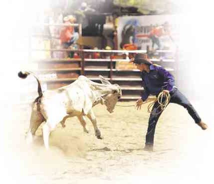 IT’S MAN VS BULL in Masbate’s rodeo            MARK ALVIC ESPLANA