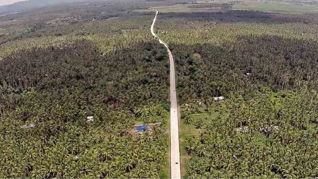 THE NEW ecotourism road cuts through coconut plantations in Sariaya town in Quezon province.    DELFIN T. MALLARI JR./INQUIRER SOUTHERN LUZON
