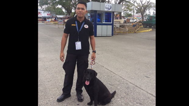 NEW MOM Jazz, a bomb-sniffing dog who gave birth to five puppies, poses with her handler at Butuan-Bancasi Airport in Agusan de lNorte province. CONTRIBUTED PHOTO