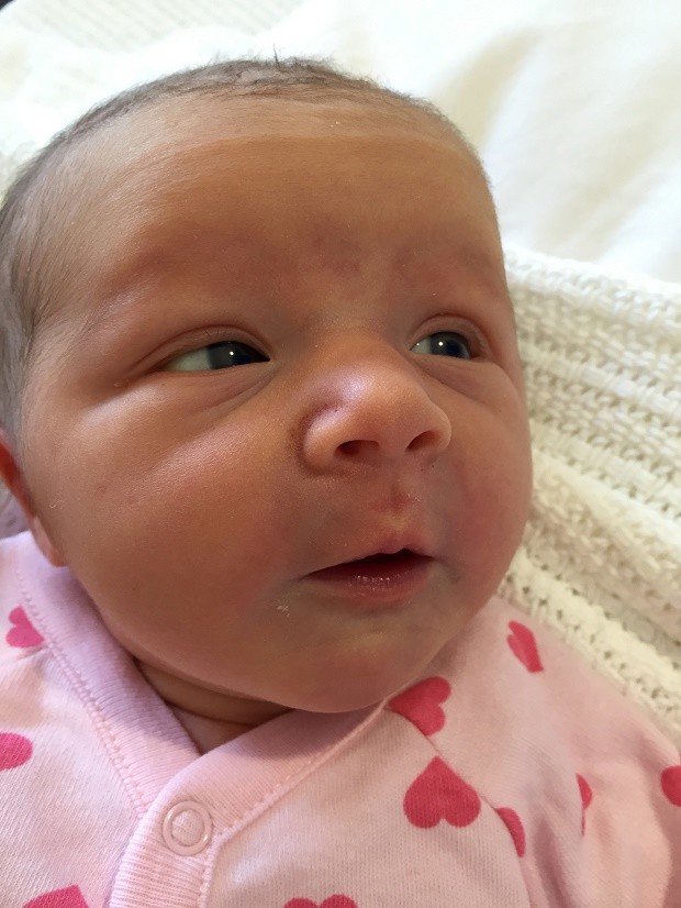 In this undated family handout photo distributed by the Australian Department of Foreign Affairs and Trade, baby Violet May Maslin is photographed shortly after her birth, Tuesday, May 10, 2016, in Perth, Australia. An Australian couple whose three children were killed in the downing of Malaysia Airlines Flight 17 two years ago has welcomed baby Violet. Maslin Family/Australian Department of Foreign Affairs and Trade via AP