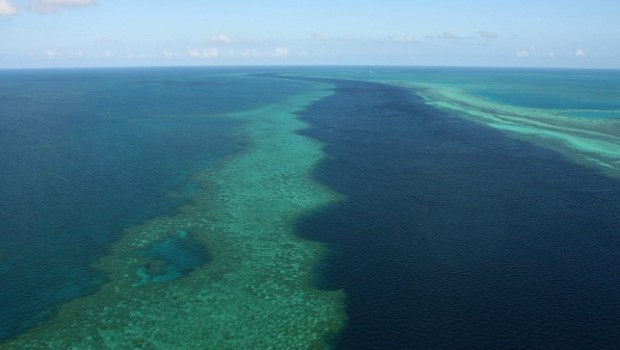 This photo taken on November 20, 2014 shows an aerial view of the Great Barrier Reef off the coast of the Whitsunday Islands, along the central coast of Queensland.  The Great Barrier Reef Marine Park encompasses about 99 percent of the World Heritage-listed natural wonder, with the additional one percent outside the marine park but within the heritage-listed area -- about 3,600 square kilometres (1,390 square miles) -- being managed by the Queensland state government and includes most islands and ports, as well as lakes and other waterways.       AFP PHOTO / SARAH LAI / AFP PHOTO / Sarah Lai