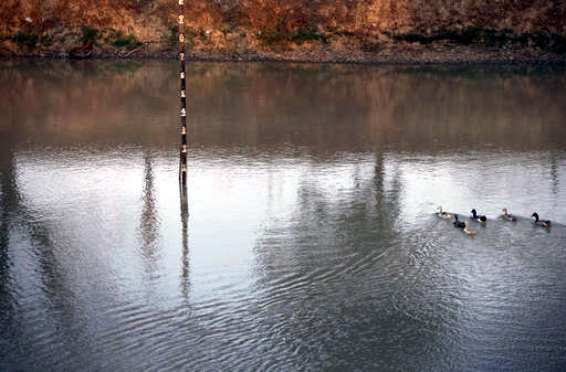 In this May 12, 2016 photo, ducks swim next to a measuring pole in a low water level pond in Dala township, south of Yangon, Myanmar. Droughts, floods, pest infestations and limited agricultural supplies have contributed to most of the Myanmar's desperate need for food and water. AP