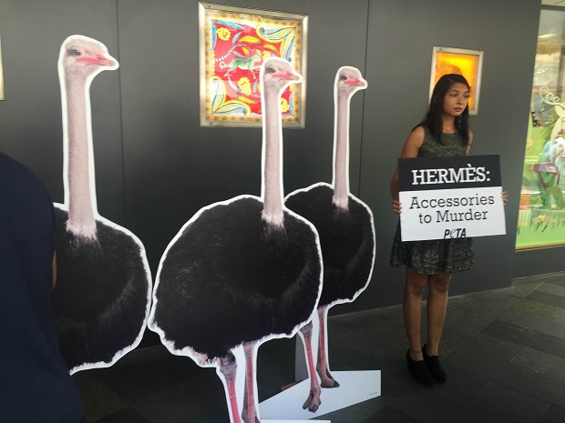 Topless dead ostrich protest at flagship store ruffles Hermès