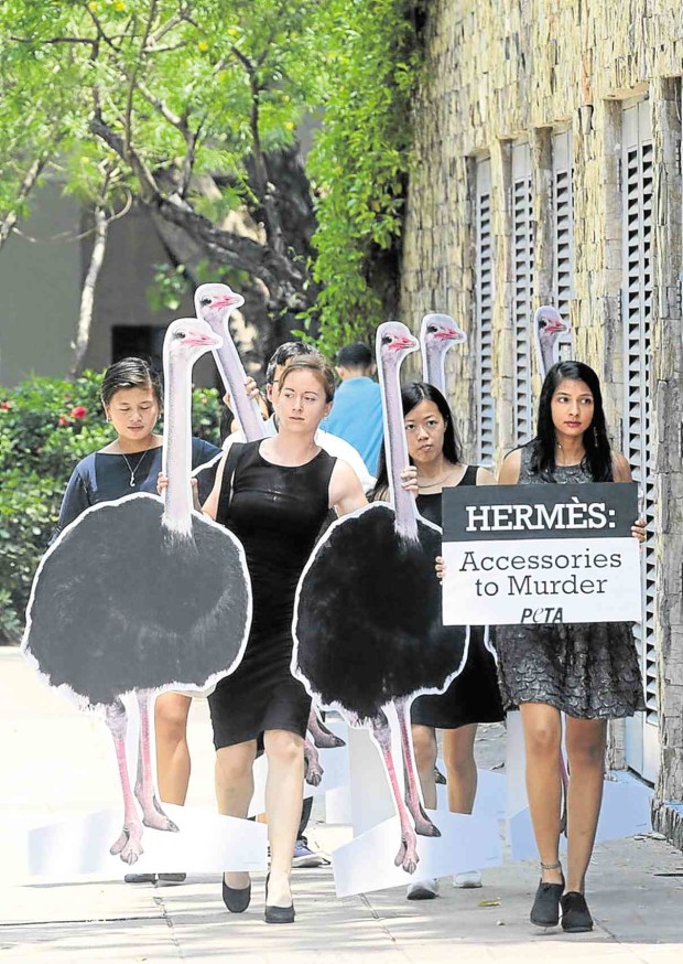 OSTRICH standees in tow, Peta members head for the Hermes store in Makati City to protest the killing of the flightless birds. The animals right group claims that 1-year-old ostriches are slaughtered for their skin which the luxury brand uses for its much sought-after bags.   GRIG C. MONTEGRANDE 