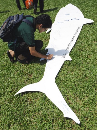 A supporter of the anti-shark fins animal right group signs a petition on a shark figured cardboard cutout during a campaign against killing of sharks for the sake of shark fin soup in Singapore on April 18, 2009. A Singapore animal rights group on launched a campaign against shark's fin consumption, attracting an estimated 100 people to the cause. The Animal Concerns Research and Education Society (ACRES), which organised the campaign, put up an exhibit panel with descriptions and pictures of how sharks were thrown back into the sea while still alive after their fins had been sliced off.  AFP PHOTO/ROSLAN RAHMAN / AFP PHOTO / ROSLAN RAHMAN