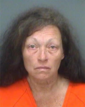 This photo provided by the Pinellas County Sheriff's Office shows Kathleen Marie Steele, 62. Steele was arrested Thursday, Aug. 11, 2016, on a charge of aggravated manslaughter of a child for the death of her 13-day-old baby girl. The Pinellas County Sheriff's Office said her 6-year-old son brutally beat her infant daughter on Monday when the mother left them alone in a minivan for at least 38 minutes. AP