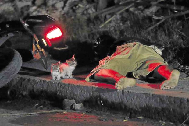 THERE’S NO PUSSYFOOTING FOR POLICE Curiosity did not kill these kittens, which seem to be puzzling over the identity of one of two men killed by police reportedly in an encounter in Barangay Rosario, Pasig City, early Friday. RAFFY LERMA