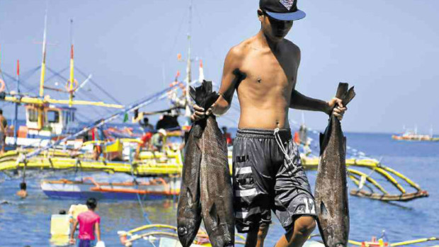 Why Do They Go To Panatag? Pangasinan Fishermen Show Their Marine 