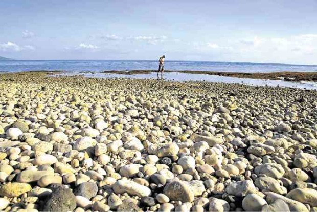 As a boy, Basmayor spent his idle time on the beach of Bagolatao, where his fascination for marine life and seashells started.