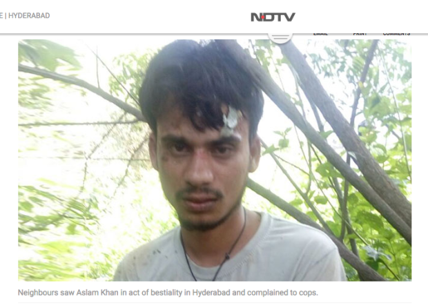 man rapes and kills dog in Hyderabad