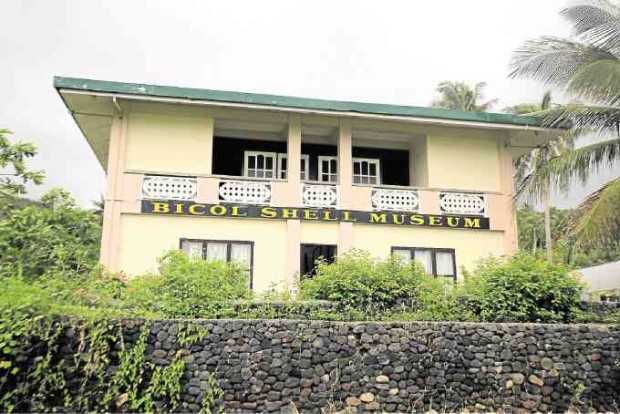 The Bicol Shell Museum educates visitors about the country’s marine life.