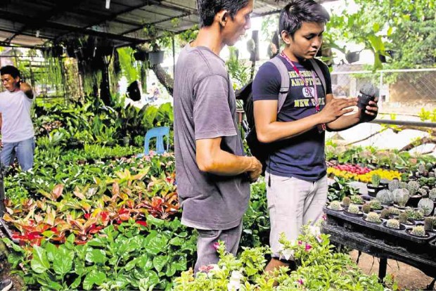 The garden show at the University of the Philippines Los Baños campus in October featured landscape designs and ornamental plants. —CHRIS QUINTANA