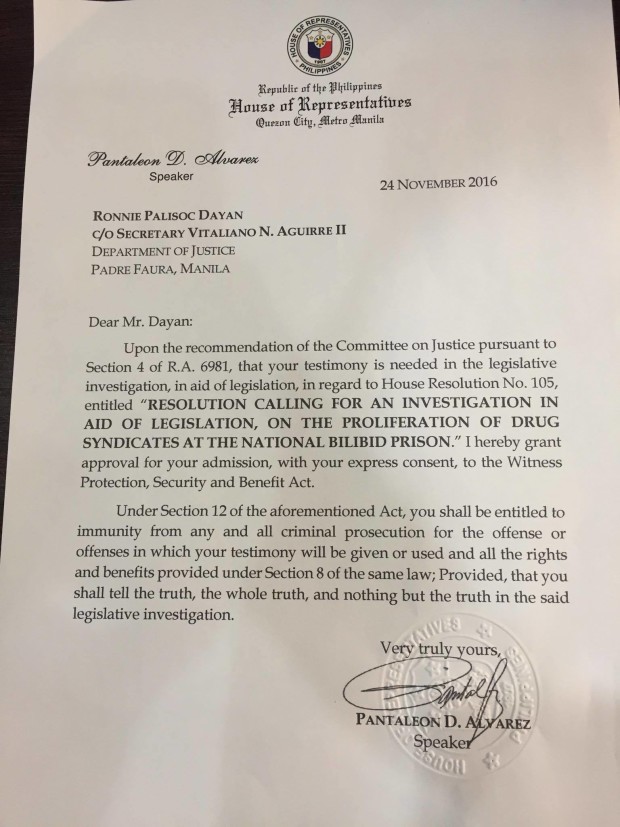 A copy of the immunity grant for Ronnie Dayan.