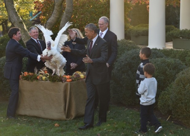 US President Barack Obama stands with his nephews Austin and Aaron Robinson as he pardons the National Thanksgiving Turkey in the Rose Garden of the White House in Washington, DC, on November 23, 2016. The President pardoned Tater and its alternate Tot, both 18-week old, 40-pound turkeys. As part of the naming process, Iowa school children submitted pairs of names for this years turkeys. / AFP PHOTO / NICHOLAS KAMM