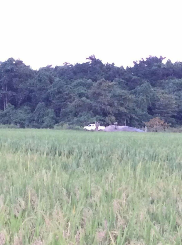 An Air Force Sokol helicopter carrying 13 police and military personnel--including ranking officials--crash landed in a rice field in Sitio Sabang, Barangay Cabayugan, Puerto Princesa, Palawan on Tuesday afternoon. CONTRIBUTED PHOTO.