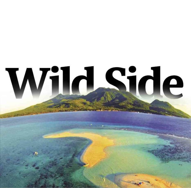 ISLE OF FIRE  White Island, a sandbar popular among tourists, is the perfect place to view Camiguin, where its seven volcanoes outnumber its towns.