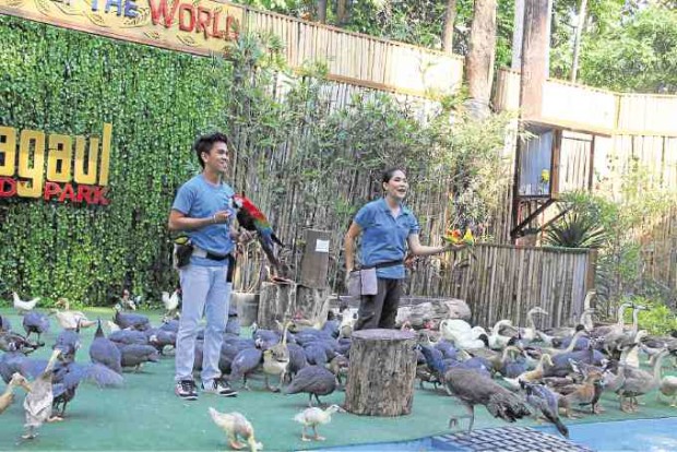 Avian paradise at Magaul Bird Park —CONTRIBUTED PHOTOS