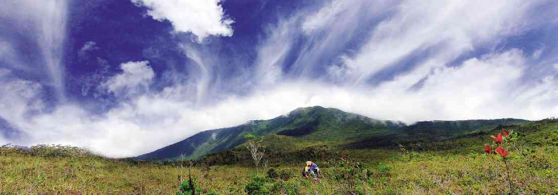 The Mt. Hamiguitan in Davao Oriental is a major habitat for the Philippine Eagle. (INQUIRER FILE PHOTO)