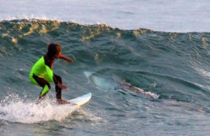 Eden Hasson - surfing with shark - 24 Jan 2017