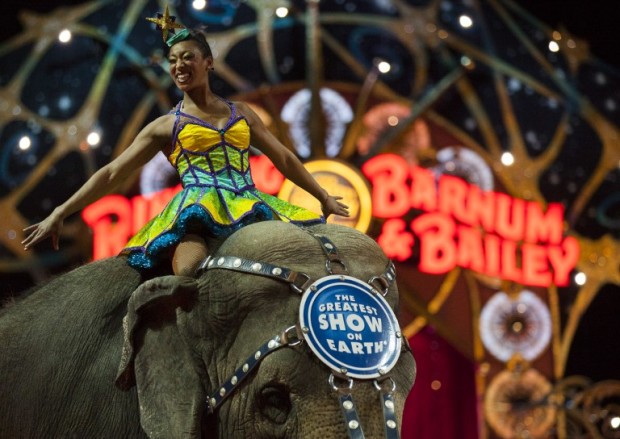 A performer rides an elephant around the arena during a Ringling Bros. and Barnum & Bailey Circus performance in Washington, DC on March 19, 2015. Across America through the decades, children of all ages delighted in the arrival of the circus, with its retinue of clowns, acrobats and, most especially, elephants. But, bowing to criticism from animal rights groups, the Ringling Bros. and Barnum & Bailey Circus announced on March 5, 2015, it will phase out use of their emblematic Indian stars. AFP PHOTO/ ANDREW CABALLERO-REYNOLDS / AFP PHOTO / Andrew Caballero-Reynolds