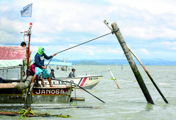 Anahaw logs and bamboo poles being pulled out of the water with ropes during the demolition of fishpen/fishcages in Laguna de Bay in Cardona, Rizal by DENR and LLDA team with assistance from Philippine Coast Guard and NBI. INQUIRER PHOTO/LYN RILLON