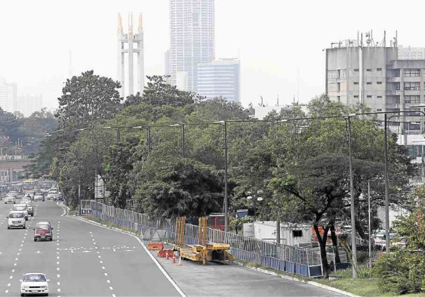 CUT, BALLED OR PRUNEDThat’s the fate awaiting these trees on Commonwealth Avenue, Quezon City, where they stand in the path of the upcoming MRT 7 project. —NIÑO JESUS ORBETA