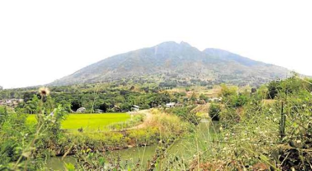 Farms on Mt. Arayat in Pampanga province now grow mulberry trees for a tea production project funded by the Japanese government.  —E.I REYMOND T. OREJAS/CONTRIBUTOR