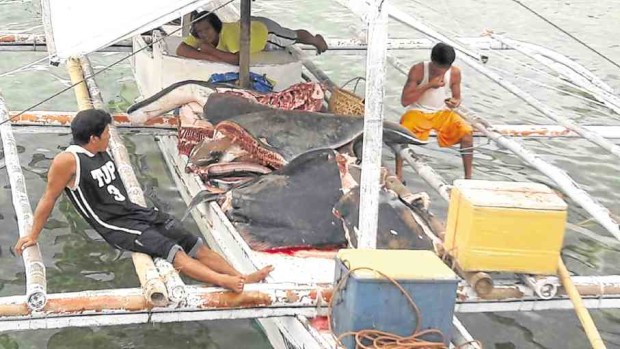 Slabs of manta ray meat are seized in Baclayon town in Bohol, proving that the hunting of endangered species in the province’s waters continues. —RALPH BARAJAN OF PCG-PANGLAO/CONTRIBUTOR