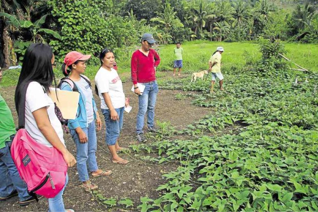 Women in Ivisan, Capiz, discuss  the attributes of sweet potato or camote that they are testing for the first time. These women live along the coast and  have to contend with typhoons that  regularly destroy crops. —CONTRIBUTED PHOTO