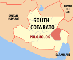 Two suspected members of the Daulah Islamiyah were killed during an armed encounter with government troops in Polomolok town in South Cotabato on Monday, the military reported on Tuesday.