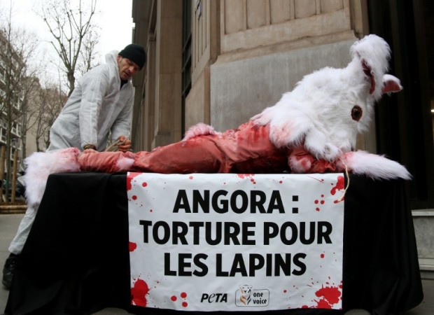 Activists from the animal rights organisation People for the Ethical Treatment of Animals (PETA) display a banner which translates as "Angora: Torture for rabbits" as they stage a protest in the form of a street performance depicting the skinning of a rabbit for Angora wool in Paris on February 9, 2017.  / AFP PHOTO / Zakaria ABDELKAFI