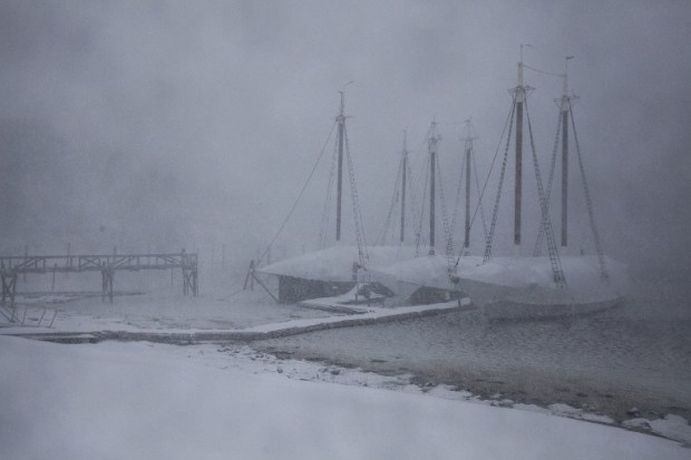 CAMDEN, ME - MARCH 14: From left, the ketch Angelique, and schooners Lewis R. French and Mary Day sit wrapped for winter in the Camden Harbor as winds around 30 m.p.h. and heavy snow roll into town on March 14, 2017 in Camden, Maine. A blizzard is forecast to bring more than a foot of snow and high winds to up to eight states in the Northeast region, as New York and New Jersey are under a state of emergency. School districts across the entire region were closed and thousands of flights were canceled.   Sarah Rice/Getty Images/AFP