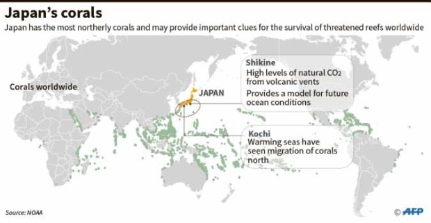 Japan-corals-0418
