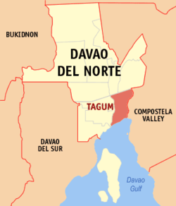 Spate of killings in Tagum City not related to investment scams – police