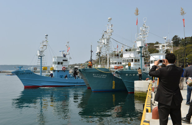 Japanese whaling fleets depart Ayukawa port in Ishinomaki City on April 26, 2014. AFP FILE PHOTO